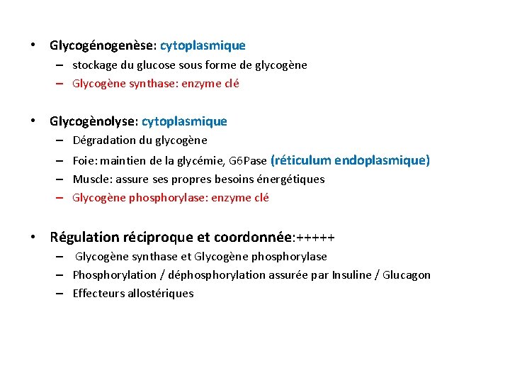  • Glycogénogenèse: cytoplasmique – stockage du glucose sous forme de glycogène – Glycogène