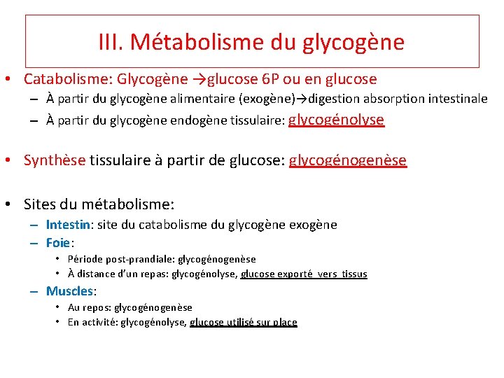 III. Métabolisme du glycogène • Catabolisme: Glycogène →glucose 6 P ou en glucose –