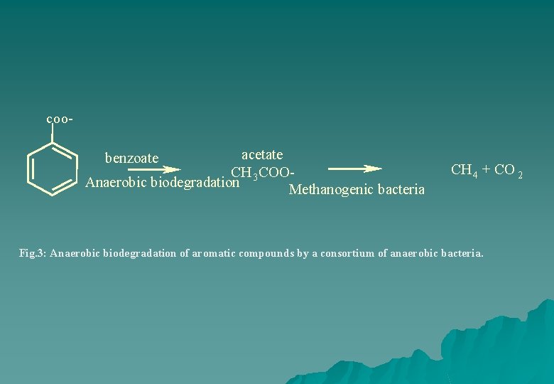 coo- acetate CH COOAnaerobic biodegradation 3 Methanogenic bacteria benzoate CH 4 + CO 2