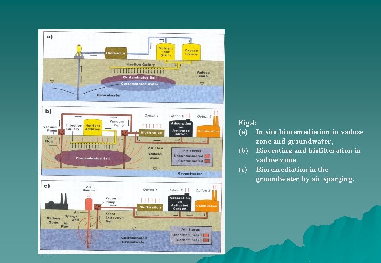 Fig. 4: (a) In situ bioremediation in vadose zone and groundwater, (b) Bioventing and