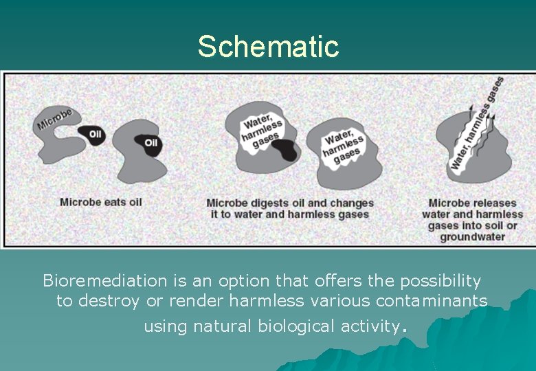 Schematic Bioremediation is an option that offers the possibility to destroy or render harmless