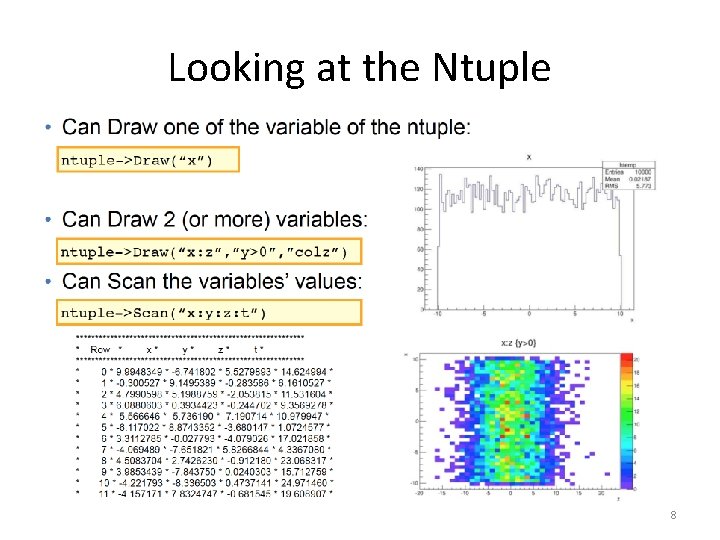 Looking at the Ntuple 8 