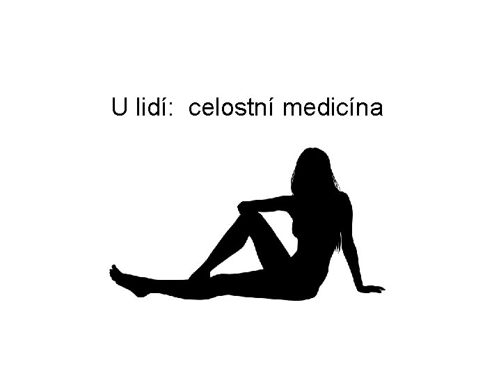 U lidí: celostní medicína U včel: ? 