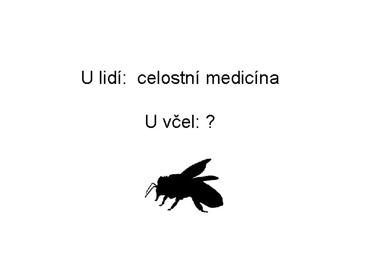 U lidí: celostní medicína U včel: ? 