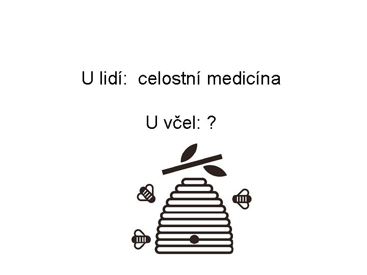 U lidí: celostní medicína U včel: ? 