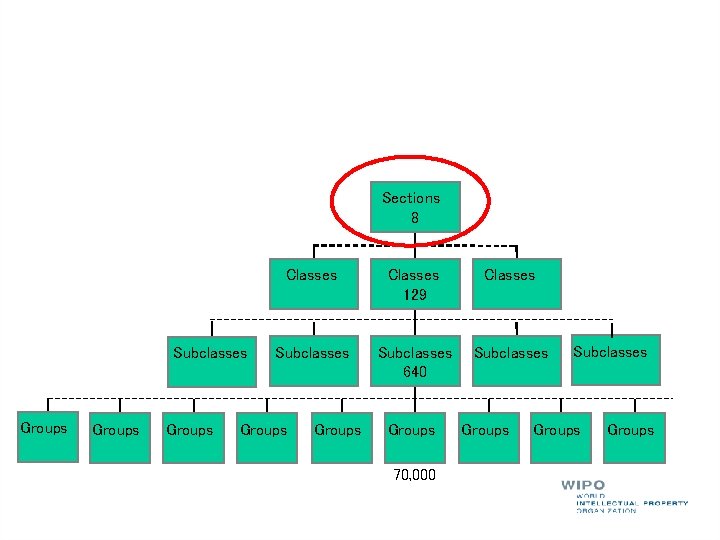 Sections 8 Subclasses Groups Classes 129 Classes Subclasses 640 Subclasses Groups 70, 000 Groups