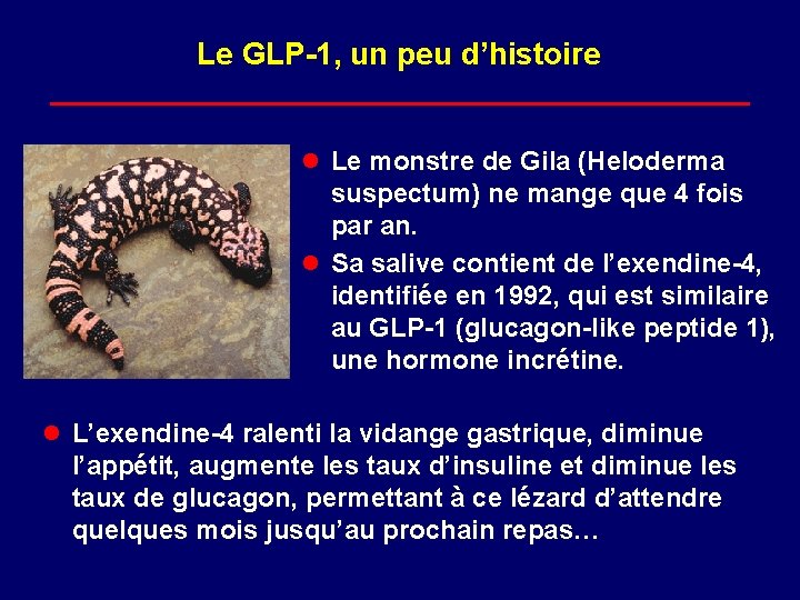 Le GLP-1, un peu d’histoire l Le monstre de Gila (Heloderma suspectum) ne mange