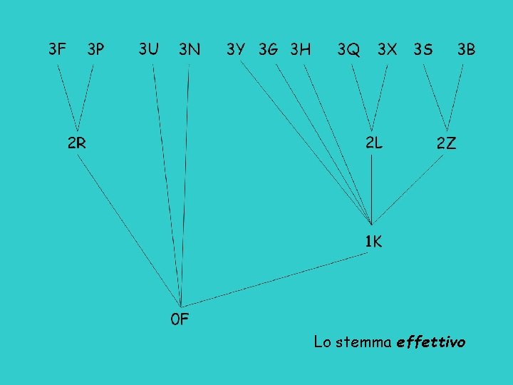 Lo stemma effettivo 