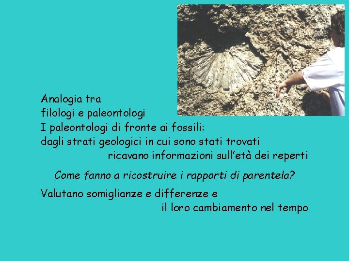 Analogia tra filologi e paleontologi I paleontologi di fronte ai fossili: dagli strati geologici