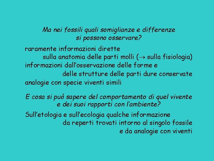 Ma nei fossili quali somiglianze e differenze si possono osservare? raramente informazioni dirette sulla