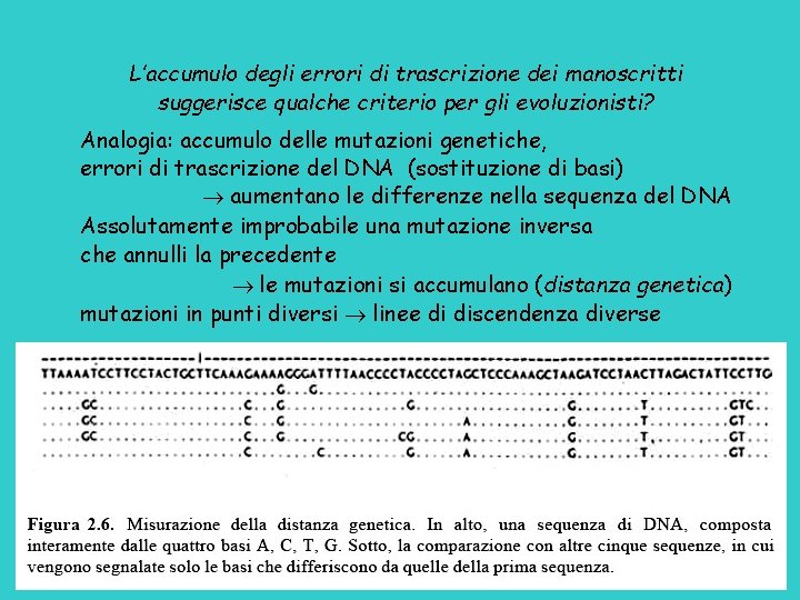 L’accumulo degli errori di trascrizione dei manoscritti suggerisce qualche criterio per gli evoluzionisti? Analogia: