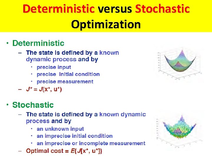 Deterministic versus Stochastic Optimization 
