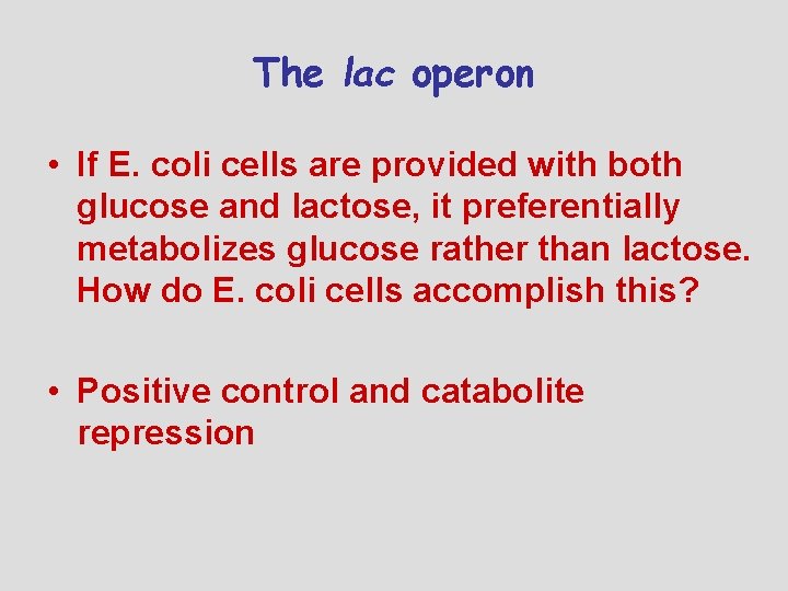 The lac operon • If E. coli cells are provided with both glucose and