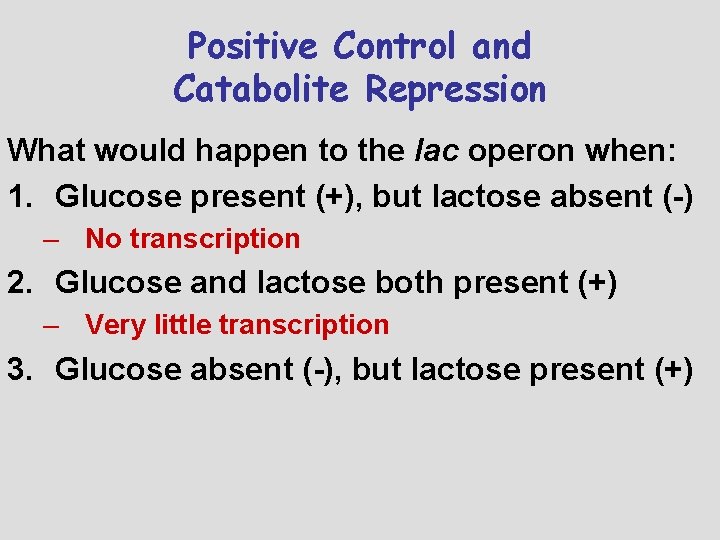 Positive Control and Catabolite Repression What would happen to the lac operon when: 1.