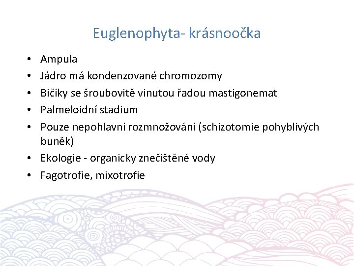 Euglenophyta- krásnoočka Ampula Jádro má kondenzované chromozomy Bičíky se šroubovitě vinutou řadou mastigonemat Palmeloidní