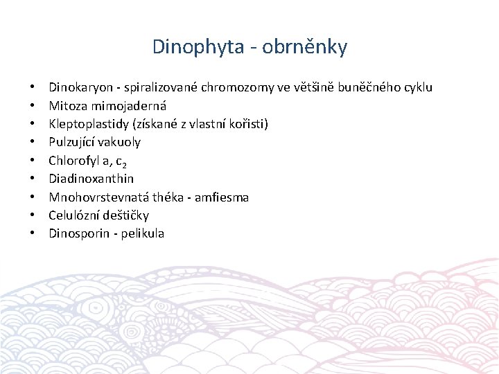 Dinophyta - obrněnky • • • Dinokaryon - spiralizované chromozomy ve většině buněčného cyklu