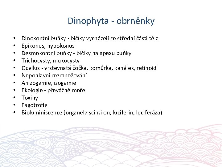 Dinophyta - obrněnky • • • Dinokontní buňky - bičíky vycházeií ze střední části