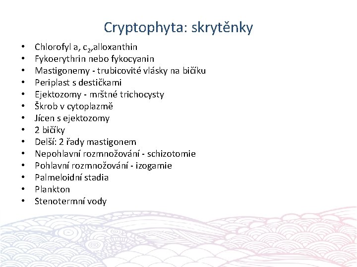 Cryptophyta: skrytěnky • • • • Chlorofyl a, c 2, alloxanthin Fykoerythrin nebo fykocyanin