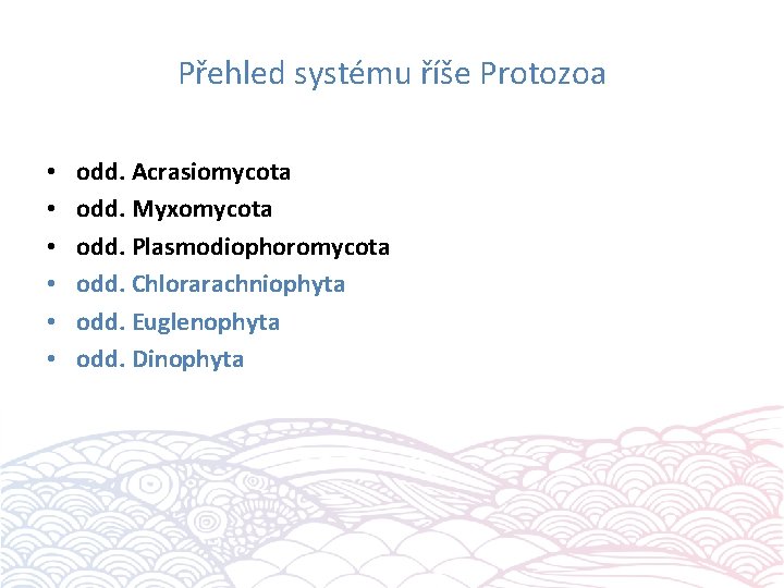 Přehled systému říše Protozoa • • • odd. Acrasiomycota odd. Myxomycota odd. Plasmodiophoromycota odd.