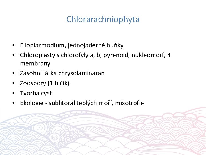Chlorarachniophyta • Filoplazmodium, jednojaderné buňky • Chloroplasty s chlorofyly a, b, pyrenoid, nukleomorf, 4