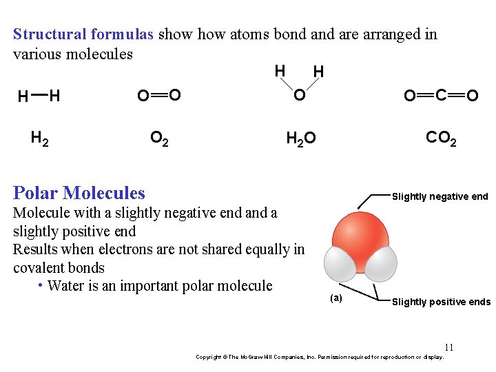 Structural formulas show atoms bond are arranged in various molecules H H O O