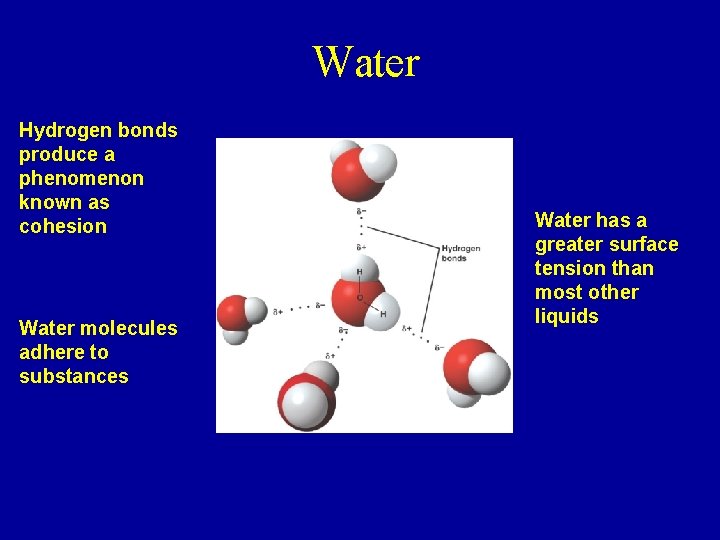 Water Hydrogen bonds produce a phenomenon known as cohesion Water molecules adhere to substances