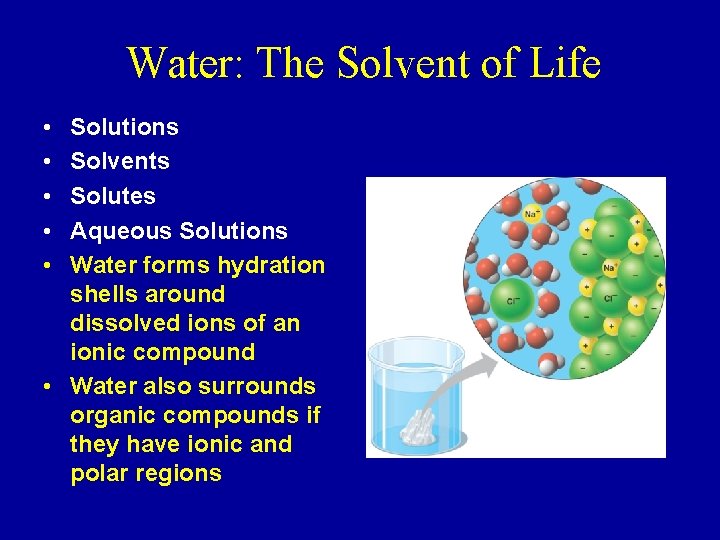 Water: The Solvent of Life • • • Solutions Solvents Solutes Aqueous Solutions Water