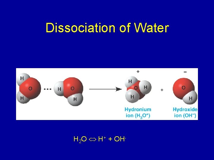 Dissociation of Water H 2 O H+ + OH- 