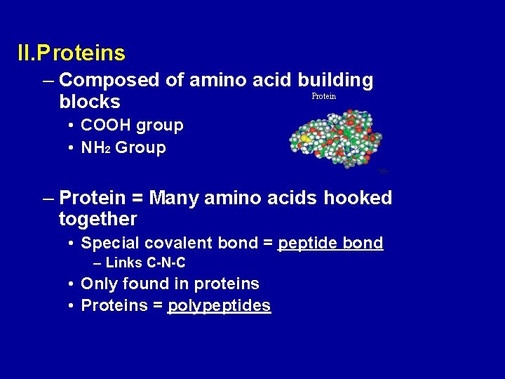 II. Proteins – Composed of amino acid building Protein blocks • COOH group •