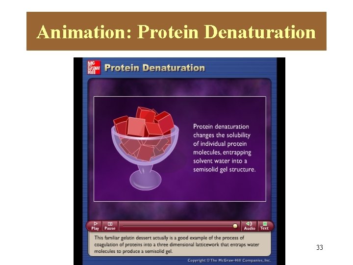 Animation: Protein Denaturation Please note that due to differing Please note that duesome to