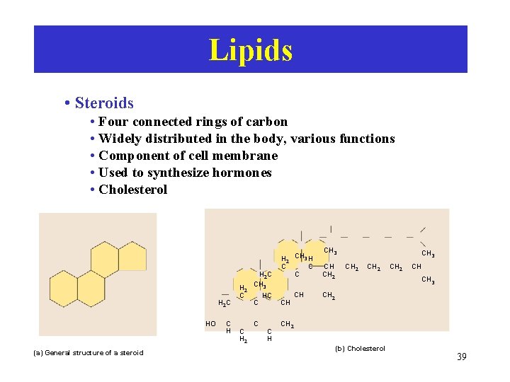Lipids • Steroids • Four connected rings of carbon • Widely distributed in the