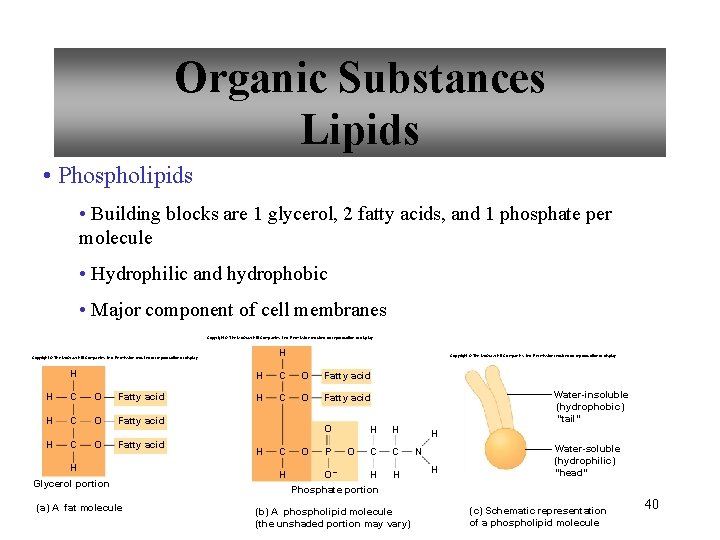 Organic Substances Lipids • Phospholipids • Building blocks are 1 glycerol, 2 fatty acids,