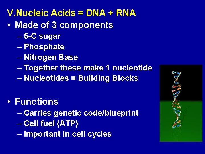 V. Nucleic Acids = DNA + RNA • Made of 3 components – 5