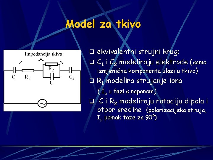 Model za tkivo q ekvivalentni strujni krug: q C 1 i C 2 modeliraju