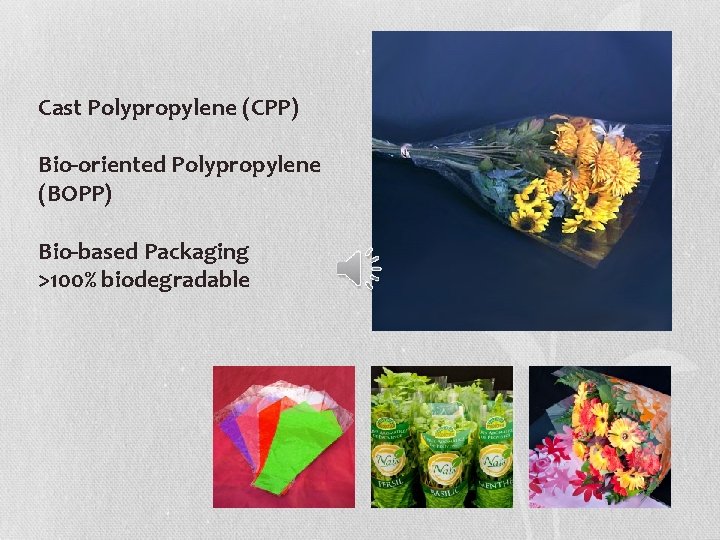 Cast Polypropylene (CPP) Bio-oriented Polypropylene (BOPP) Bio-based Packaging >100% biodegradable 