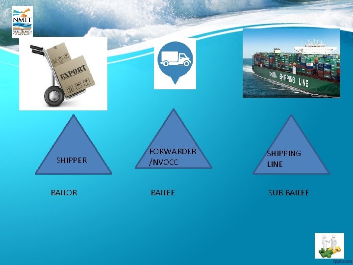 SHIPPER BAILOR FORWARDER /NVOCC SHIPPING LINE BAILEE SUB BAILEE 