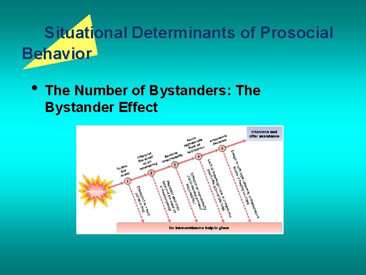 Situational Determinants of Prosocial Behavior • The Number of Bystanders: The Bystander Effect 