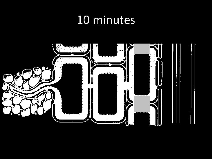 10 minutes 10 minutes