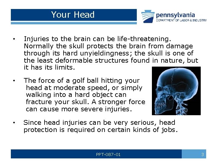 Your Head • • Injuries to the brain can be life-threatening. Normally the skull