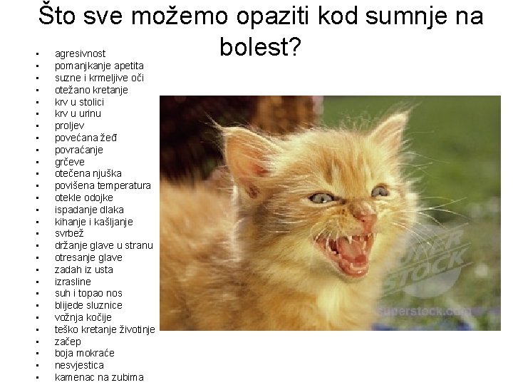 Što sve možemo opaziti kod sumnje na bolest? • • • • • •