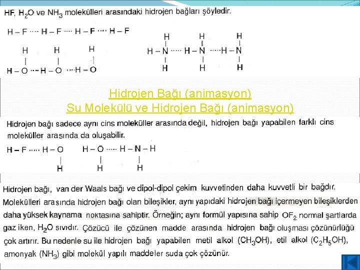 Hidrojen Bağı (animasyon) Su Molekülü ve Hidrojen Bağı (animasyon) 