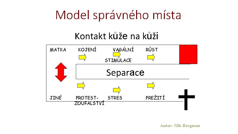 Model správného místa Kontakt kůže na kůži MATKA KOJENÍ VAGÁLNÍ RŮST STIMULACE Separace JINÉ