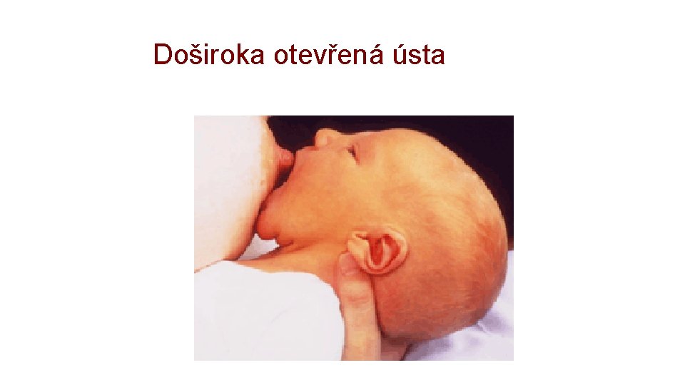 Doširoka otevřená ústa 