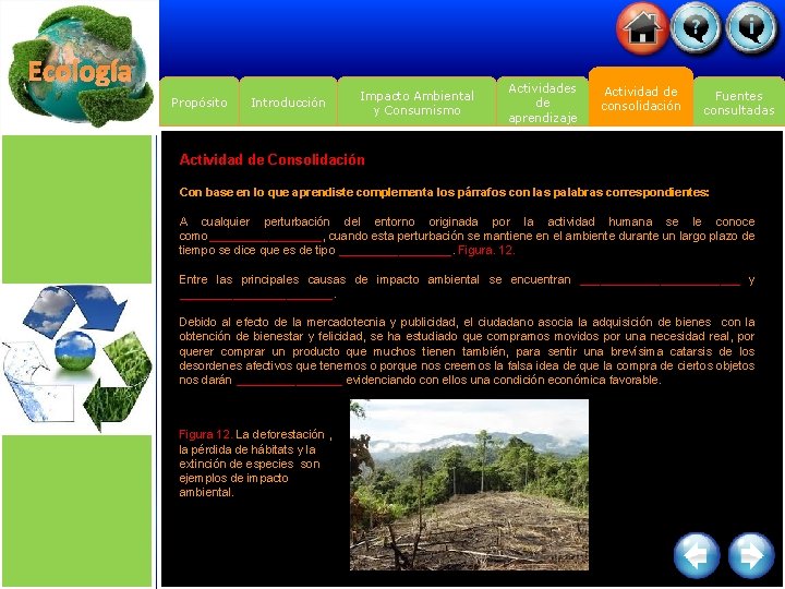 Ecología Propósito Introducción Impacto Ambiental y Consumismo Actividades de aprendizaje Actividad de consolidación Fuentes