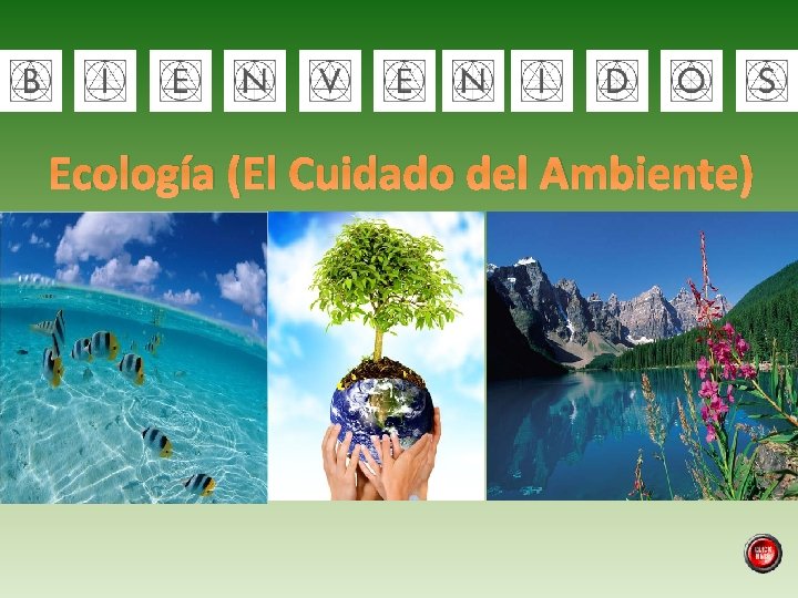Ecología (El Cuidado del Ambiente) 