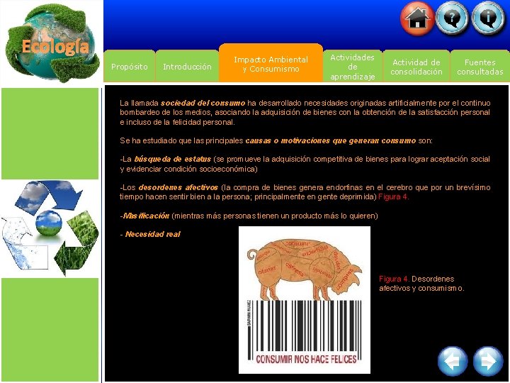 Ecología Propósito Introducción Impacto Ambiental y Consumismo Actividades de aprendizaje Actividad de consolidación Fuentes