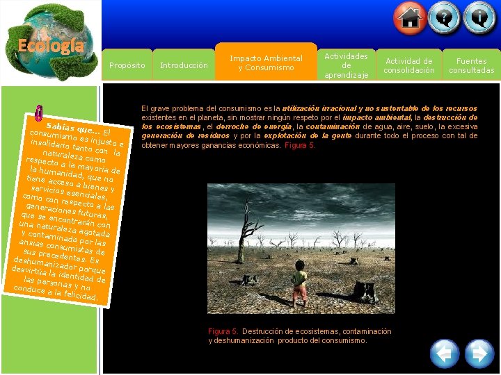 Ecología Propósito Introducción Impacto Ambiental y Consumismo Actividades de aprendizaje Actividad de consolidación Fuentes