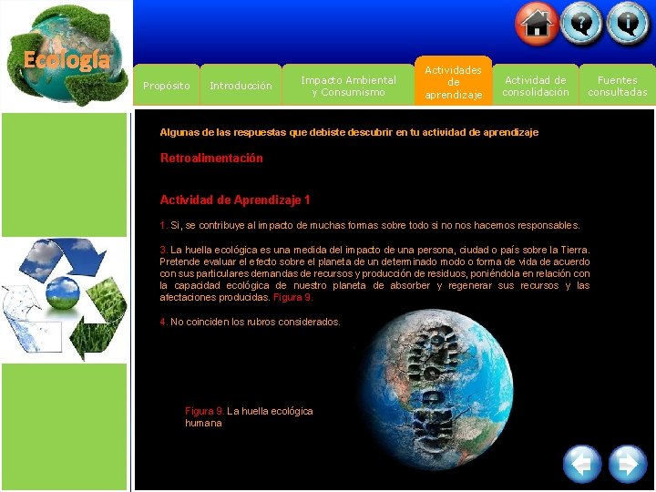 Ecología Propósito Introducción Impacto Ambiental y Consumismo Actividades de aprendizaje Actividad de consolidación Fuentes
