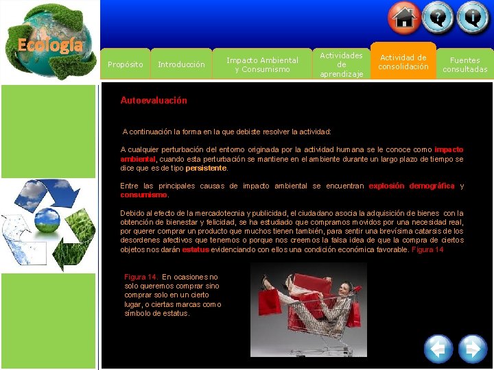 Ecología Propósito Introducción Impacto Ambiental y Consumismo Actividades de aprendizaje Actividad de consolidación Fuentes