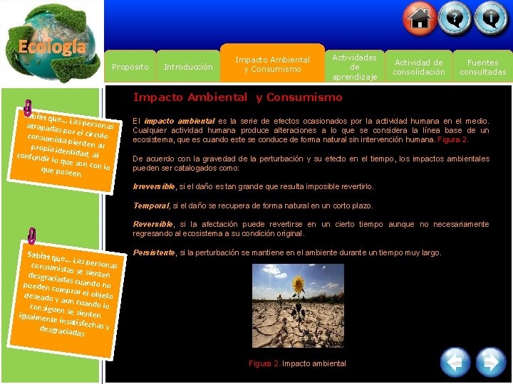 Ecología Propósito Introducción Impacto Ambiental y Consumismo Actividades de aprendizaje Actividad de consolidación Fuentes